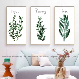 Tranh decor: Thyme