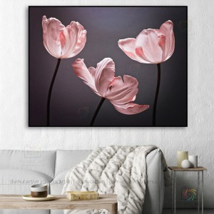 Tranh decor: Hoa tulip hồng