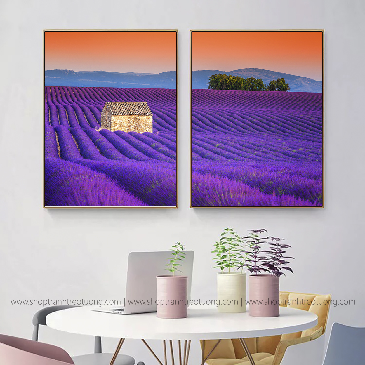 Tranh canvas: Cánh đồng Lavender