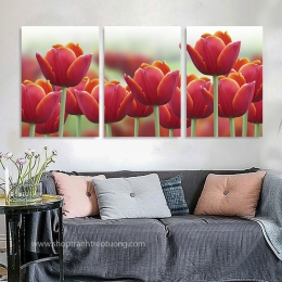 Tranh canvas: Hoa Tulip